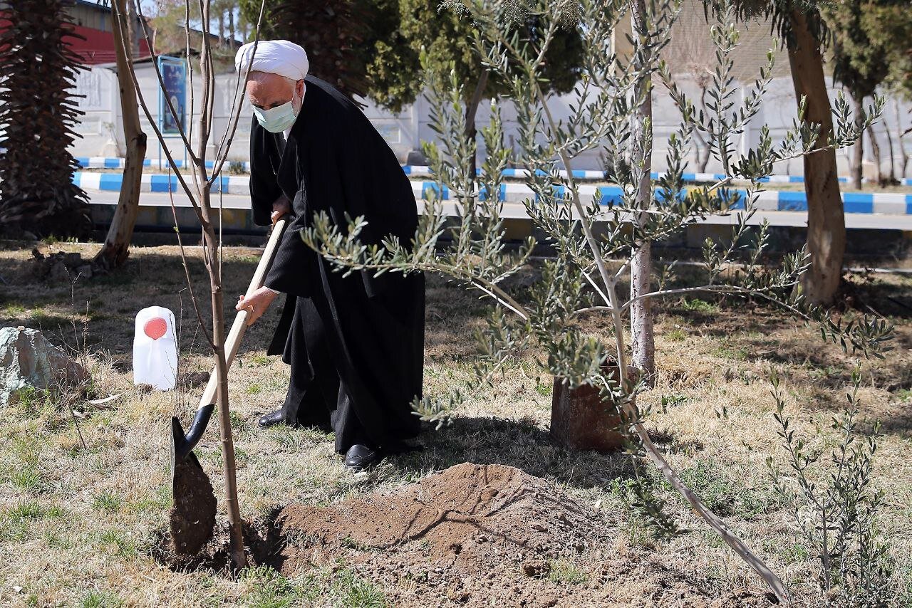 قاضیالقضات یک اصله نهال میوه غرس کرد+عکس