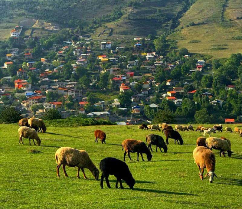 تجربه سفر به دریای ابر «فیلبند»