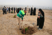 ۷ هزار نهال به یاد مادران در خراسان رضوی کاشته می شود