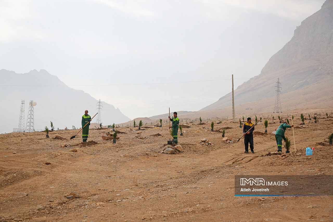 حفظِ نبض زمین تنها با درختکاری ممکن میشود؟