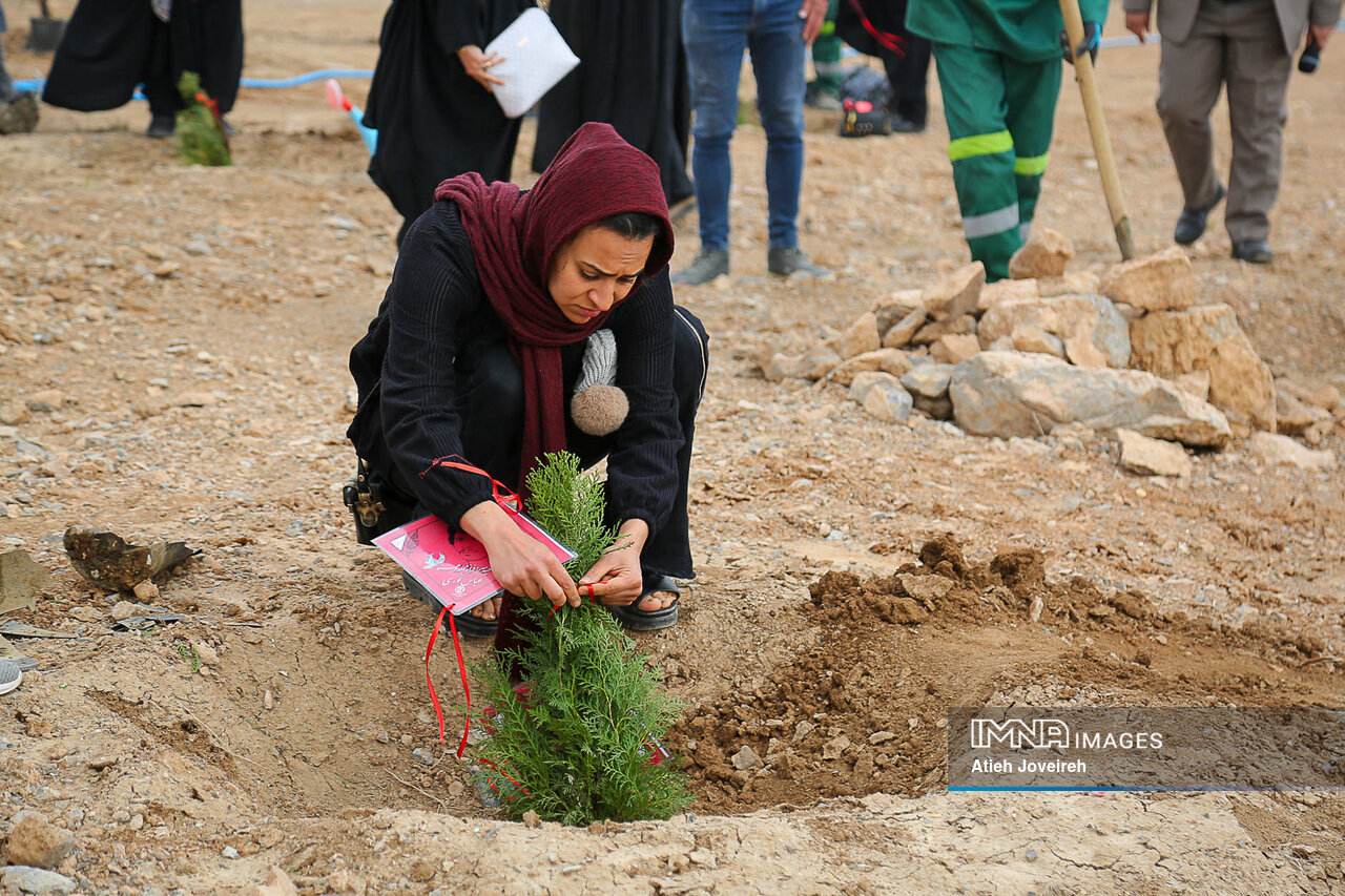 Celebrating the Greening of Iran on National Tree Planting Day