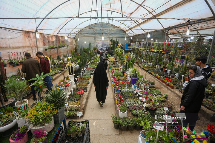 حال و هوای بازار گل و گیاه در آستانه عید نوروز