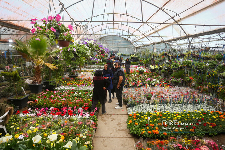 بهار چشم‌نواز اصفهان در بازار گل و گیاه همدانیان