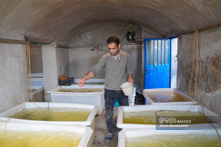 ماهی قرمز سفره هفتسین