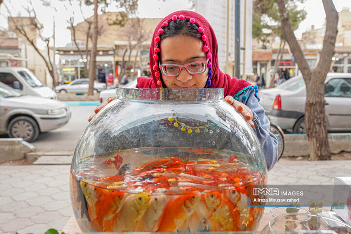 ماهی قرمز سفره هفتسین