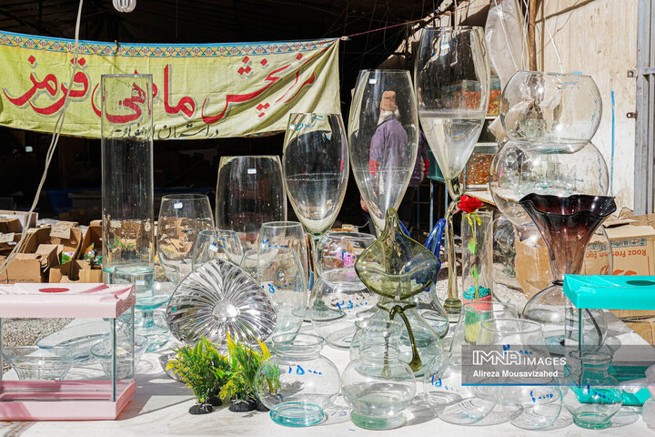 ماهی قرمز سفره هفتسین