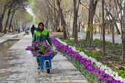 گلکاری شهر اصفهان در آستانه بهار