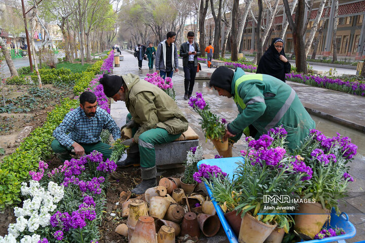 گلکاری شهر اصفهان در آستانه بهار