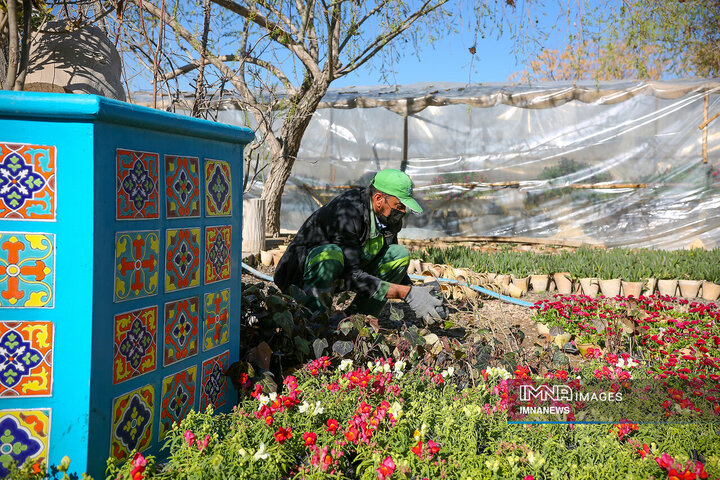 گلکاری شهر اصفهان در آستانه بهار
