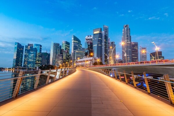 سنگاپور در مسیر توسعه هوش مصنوعی