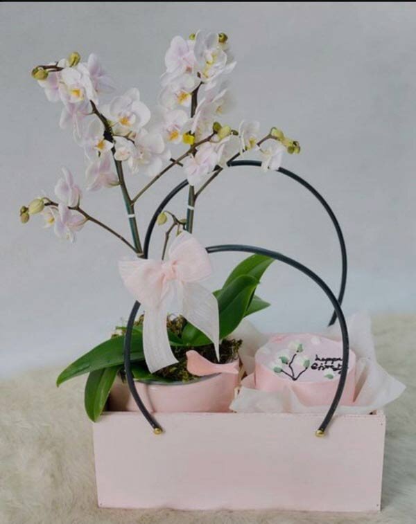 گل ارکیده