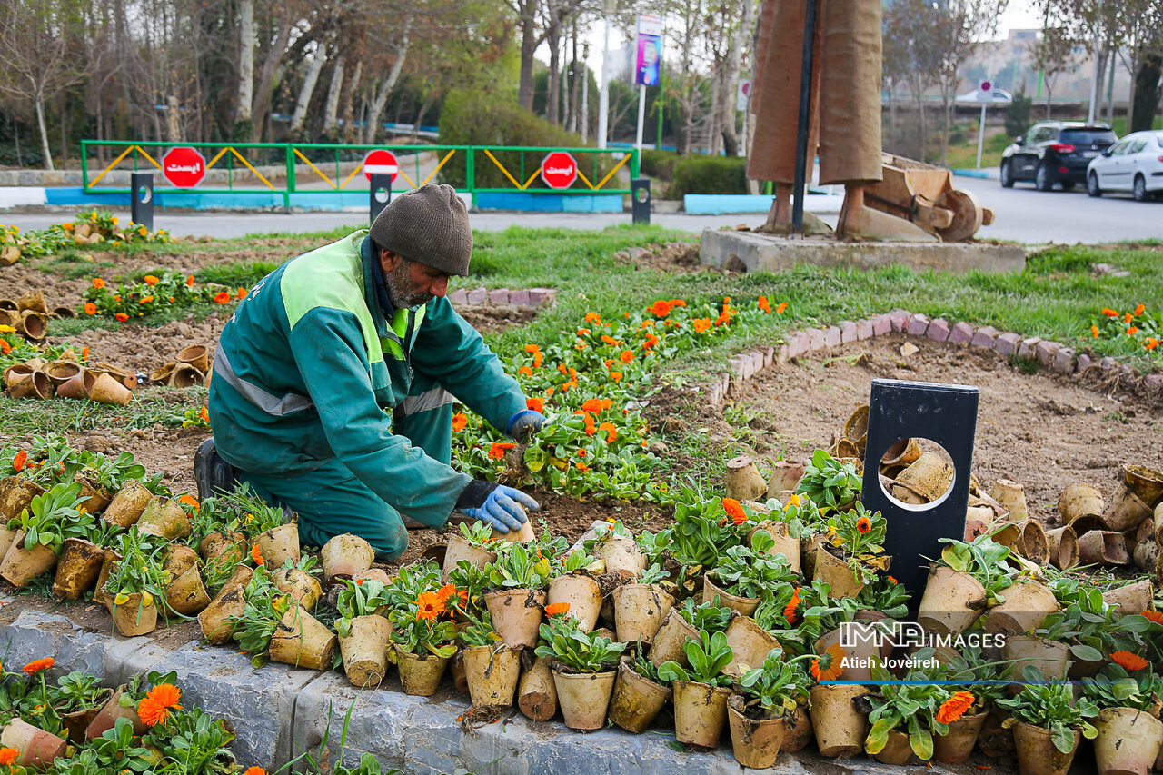 کاشت ۹.۵ میلیون گل در سطح شهر اصفهان