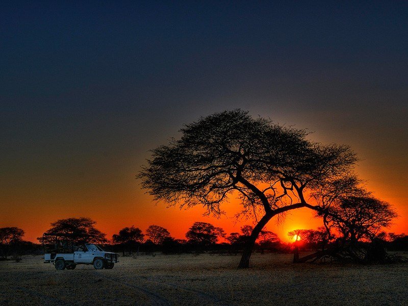 طولانیترین بیابانهای جهان+ وسعت بیابانها و میزان بارش سالانه