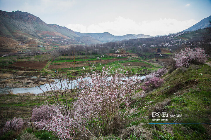 ردپای بهار در کردستان
