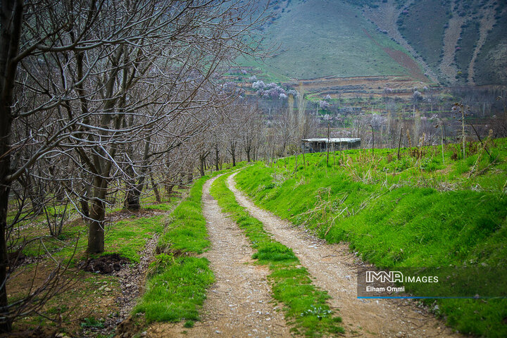 ردپای بهار در کردستان