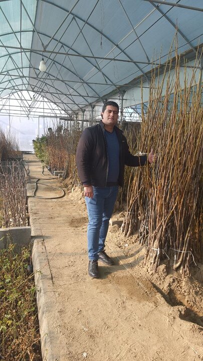 راهنمای انتخاب یک نهالستان معتبر برای 1402 راهنمای انتخاب یک نهالستان معتبر برای 1402