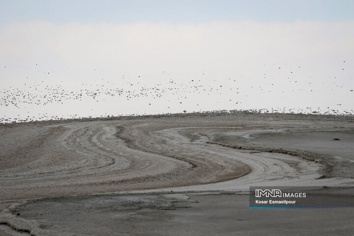 توضیح سازمان محیط زیست درباره مالچ‌پاشی در بستر دریاچه ارومیه