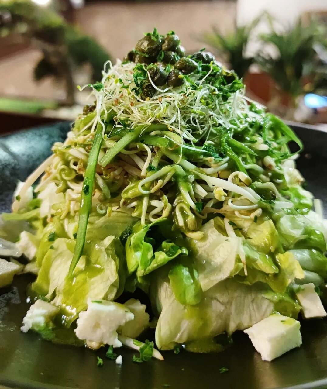 غذای رژیمی در رشت