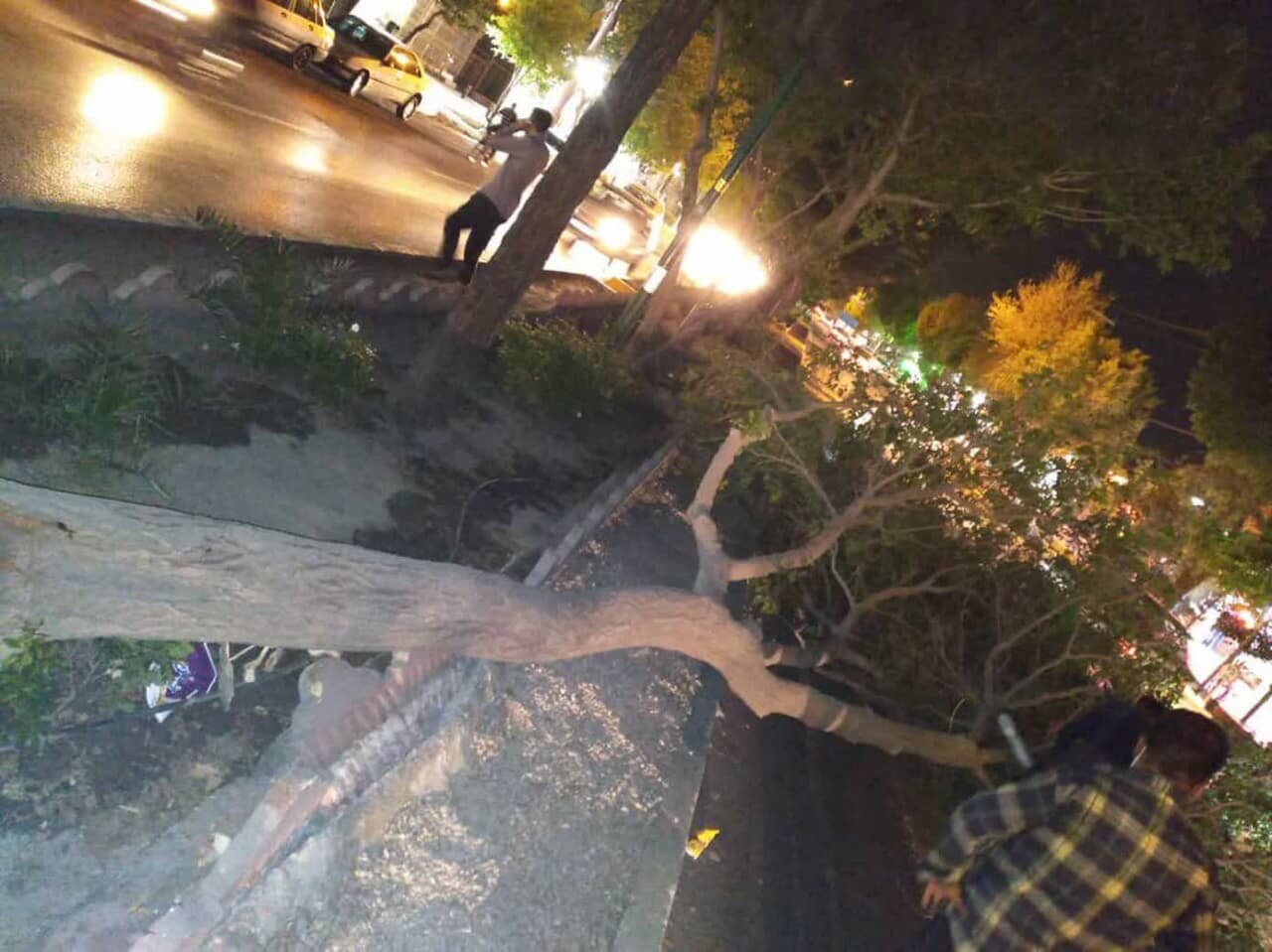 سقوط ۸ درخت و ۴ دستک در شهر اصفهان