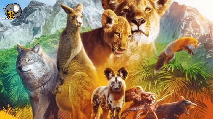 دانلود مستند حیات وحش آفریقا دانلود مستند حیات وحش آفریقا