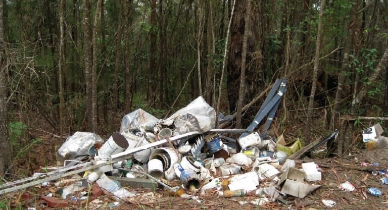 برخورد شورای شهر استرالیایی با تخلیه زباله در ساحل