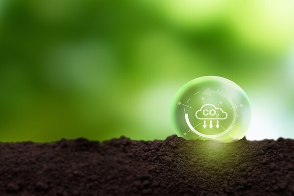 آغاز پروژه جذب و ذخیره کربن در شهر بریتانیایی