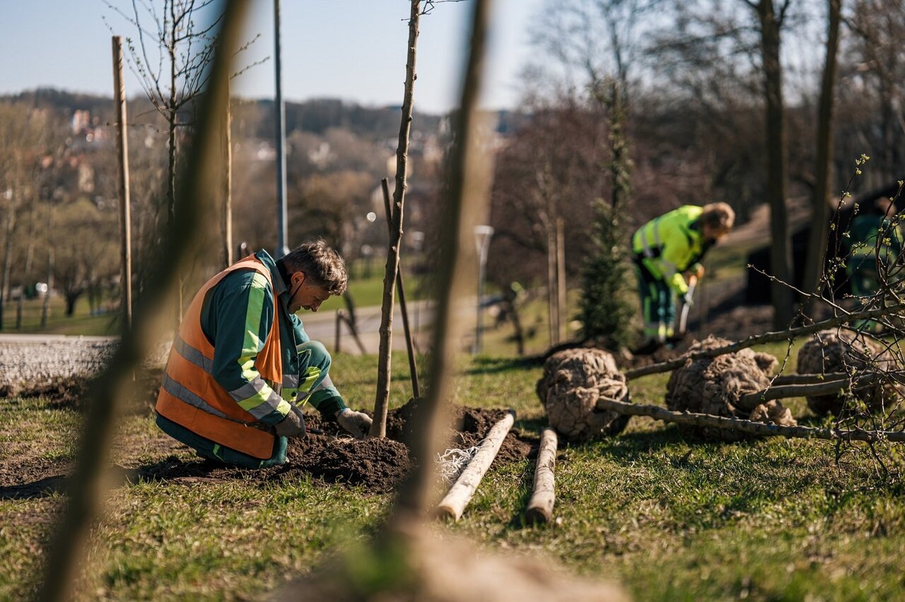 پایتخت سبز اروپا در سال ۲۰۲۵ اعلام شد