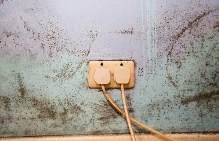 افزایش رطوبت و کپک در خانههای انگلستان