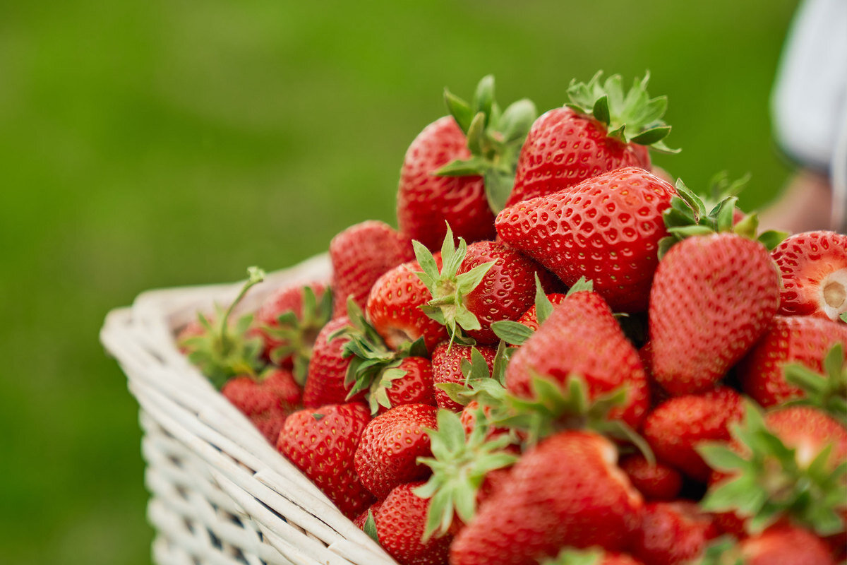 بهار فصل سر ذوق آمدن میوه دوستها رسید!