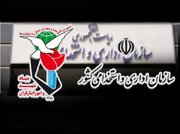 وصیت‌نامه شهدا هر هفته برای دستگاه‌های اجرایی ارسال می‌شود