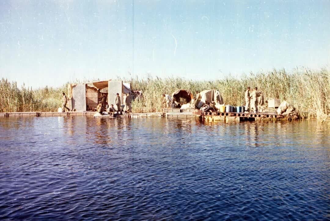 میهمان نیزارهای جزیره امالرصاص/ مصطفی رفت و نوعروس را تنها گذاشت