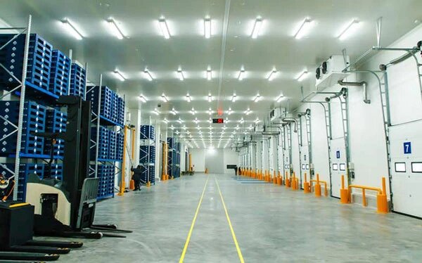 شرایط نگهداری سردخانه