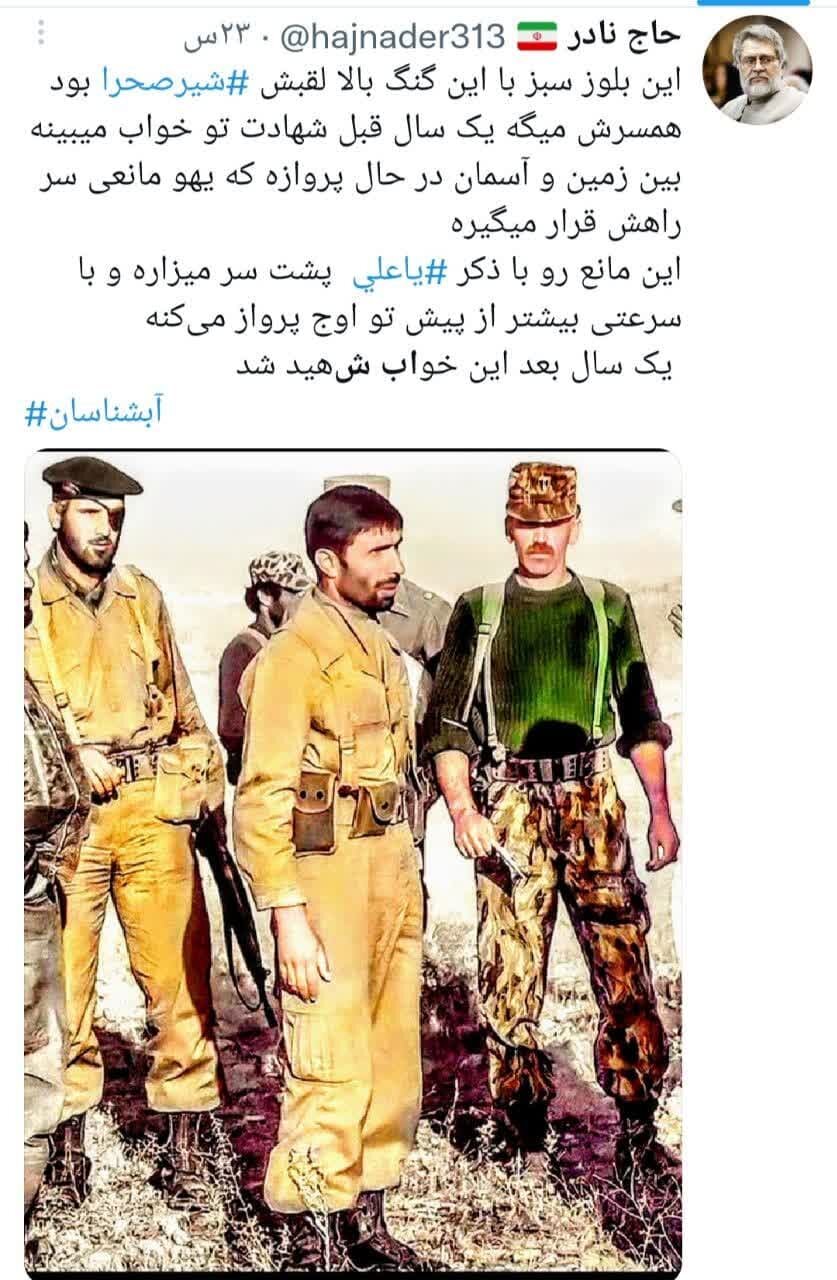 شیر صحرا لقب کدام فرمانده بود؟