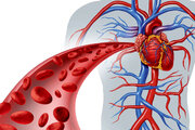از هر ۳ نفر در استان اصفهان، یک نفر مبتلا به فشار خون/ بیماری‌های قلبی شایع‌ترین علت مرگ