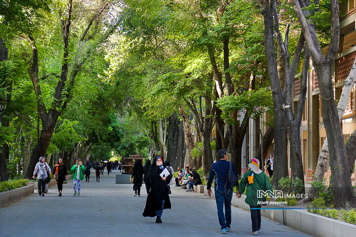 Discover Isfahan in spring
