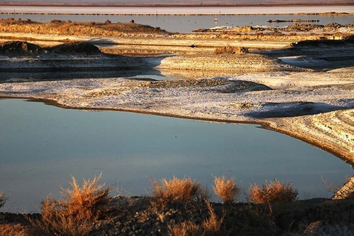 چرا حفاظت از تالابها اهمیت دارد؟