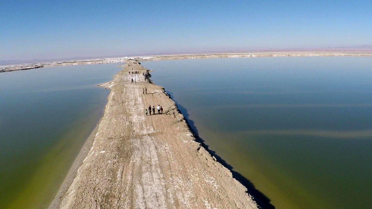 چرا حفاظت از تالابها اهمیت دارد؟