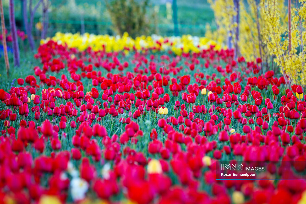 عصرانه خبری شهرهای ایران در ۲۵ آبان