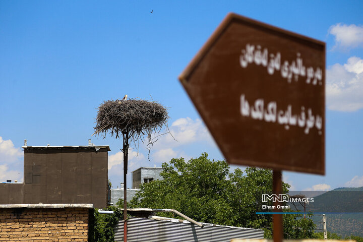 شهر لکلکها