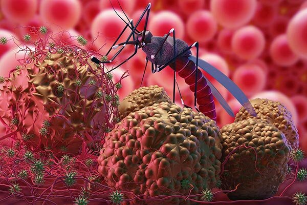 احتمال ابتلا به مالاریا در بیماران تب‌دار وجود دارد؟