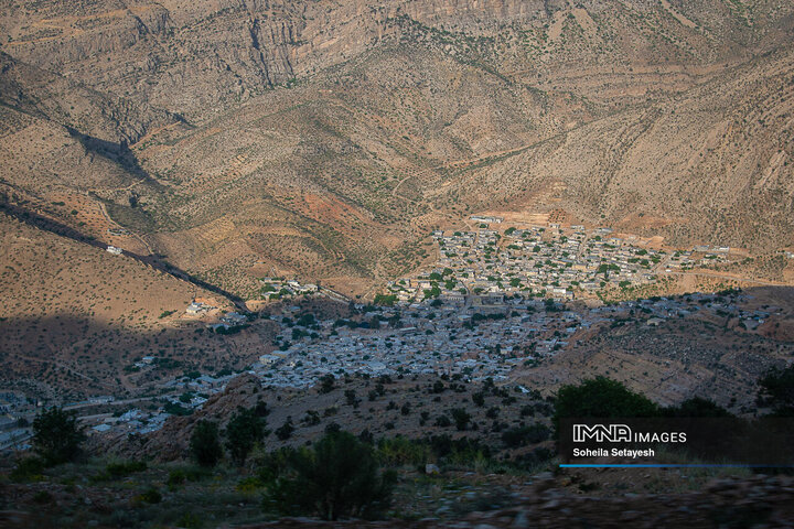 برداشت گل و گلابگیری در لایزنگان