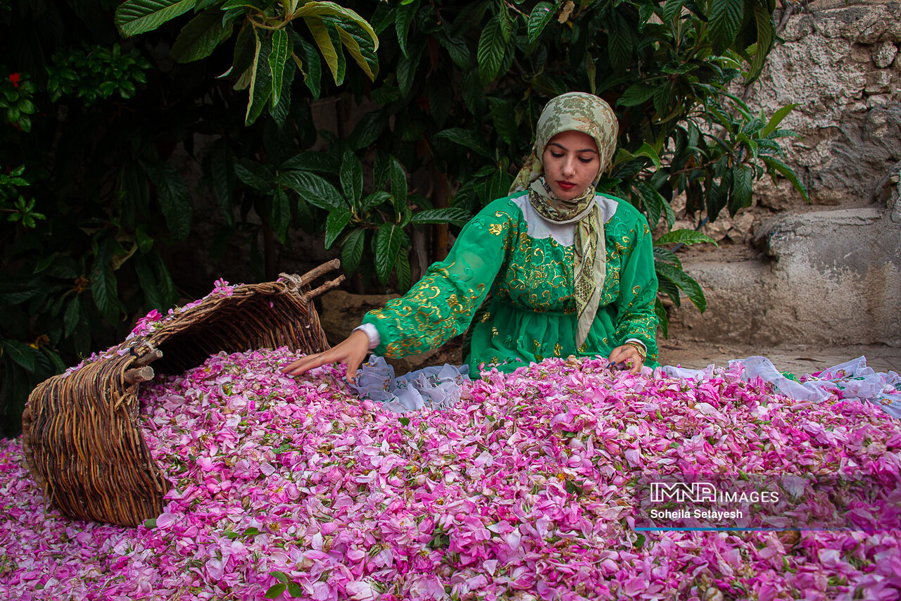 شهری آباد در حاشیه کویر؛ با ظرفیتهای کمنظیر کاشان آشنا شوید
