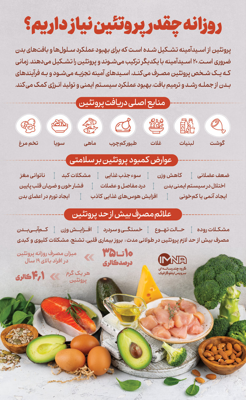 همه چیز درباره پروتئین