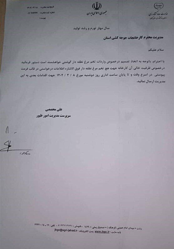 واردات تخم مرغ نطفهدار مرغگوشتی کلید خورد+ سند