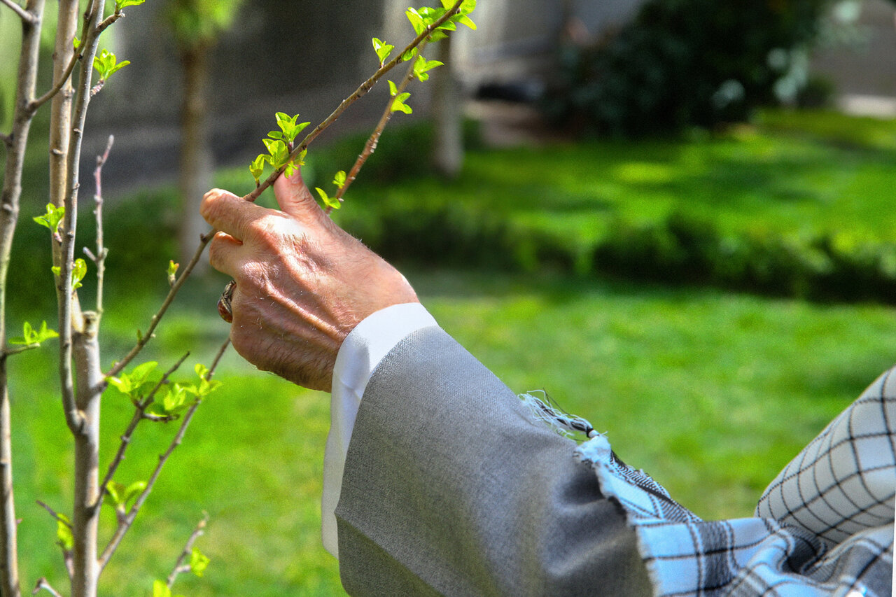 بر مدار آرمان انقلاب/ استمرار تابش خورشید ولایت