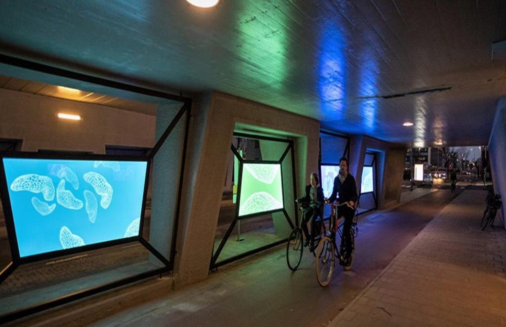 افزایش امنیت دوچرخه‌سواران آمستردام با زیباسازی مسیرها