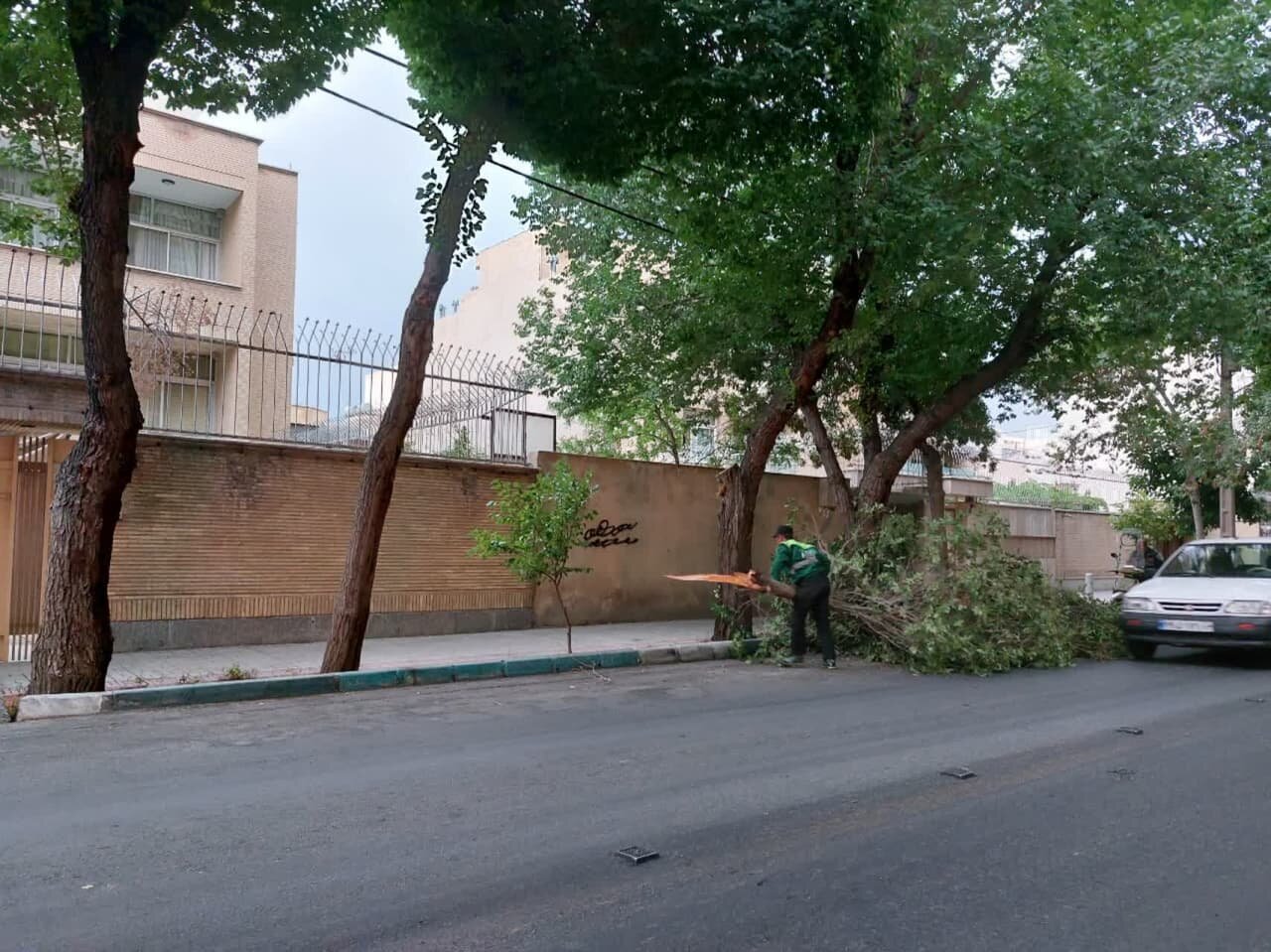 سقوط ۱۰ دستک درختان شهر اصفهان در پی وزش باد شدید عصر امروز + تصاویر