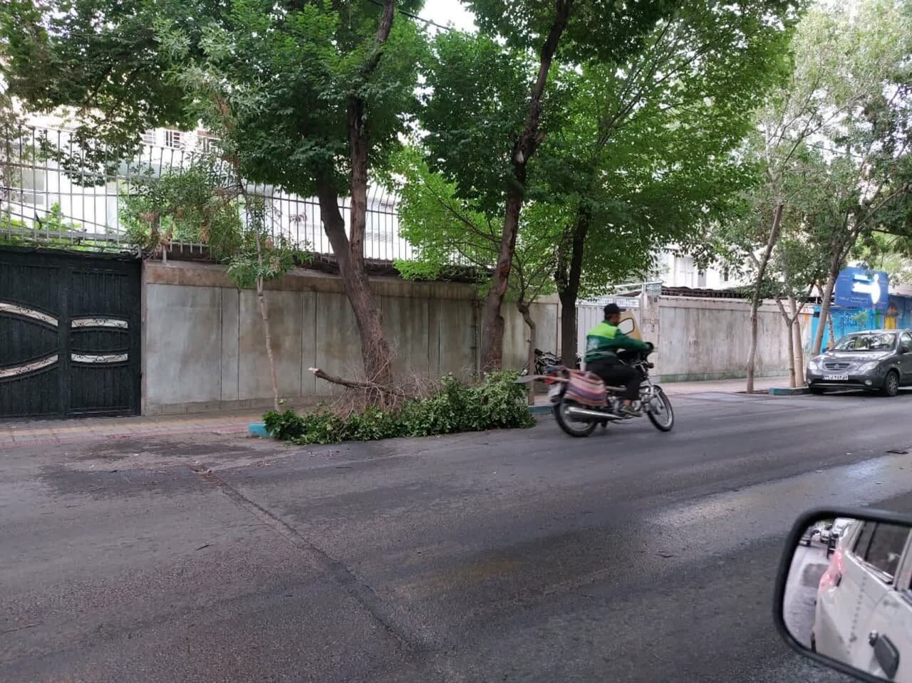 سقوط ۱۰ دستک درختان شهر اصفهان در پی وزش باد شدید عصر امروز + تصاویر