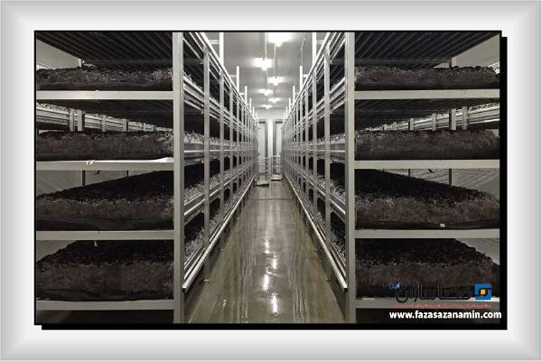 قفسه بندی سالن پرورش قارچ