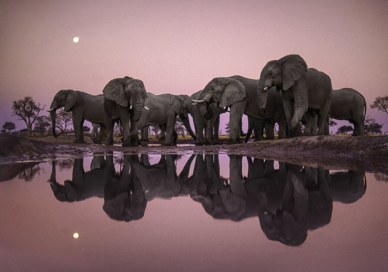 روز جهانی عکاسی از طبیعت+ برترین عکس طبیعت سال ۲۰۲۳